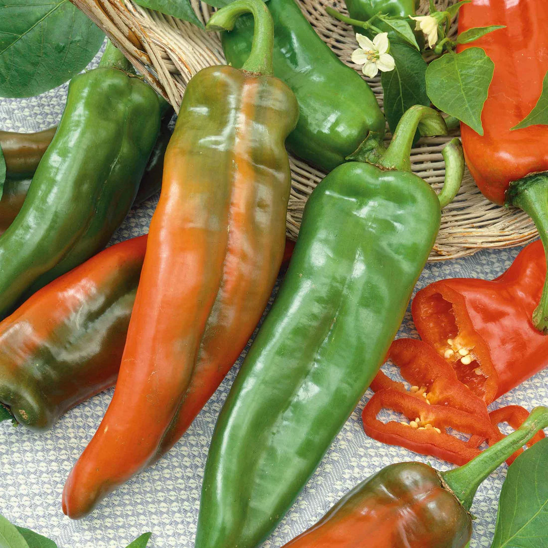 Hot Pepper Seeds (Organic) - Anaheim Chili