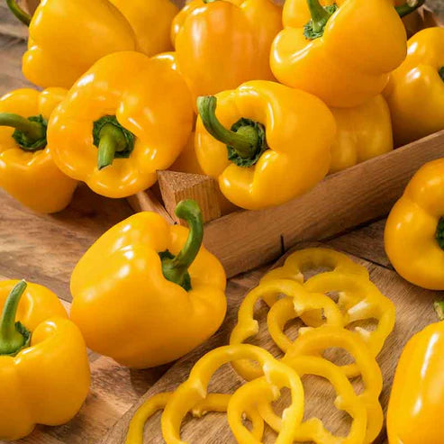 Sweet Pepper Seeds (Organic) - Golden Cal Wonder