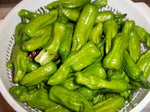 Pepperoncini pepper Capsicum annuum greek gold seeds for planting in kitchen garden or raised garden beds - Dharaseeds