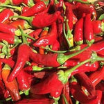 Peppers Vegetable Seeds for Planting - 100 Pcs pcs - Dharaseeds