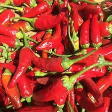 Peppers Vegetable Seeds for Planting - 100 Pcs pcs - Dharaseeds