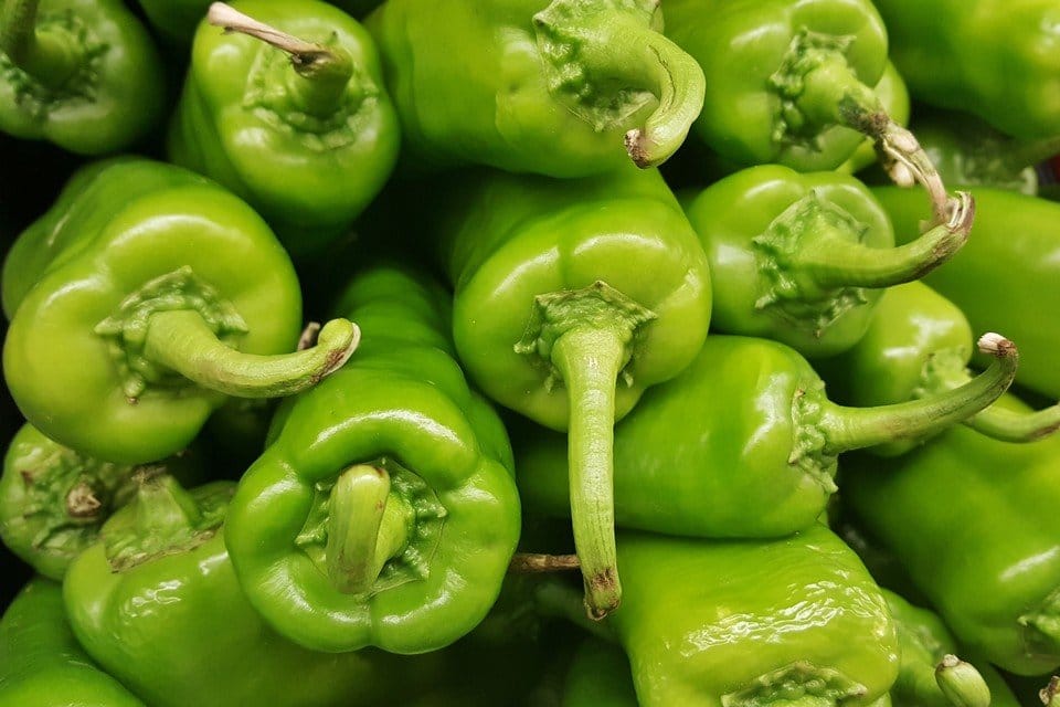 Anaheim Organic Pepper Seeds Heirloom Non-GMO High Germination Organic Garden Seeds