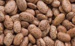 Pinto Bean Vegetable Seeds for Planting - 100 Pcs pcs - Dharaseeds
