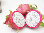 Pitaya dragon fruit seeds for planting mixed colors in home garden