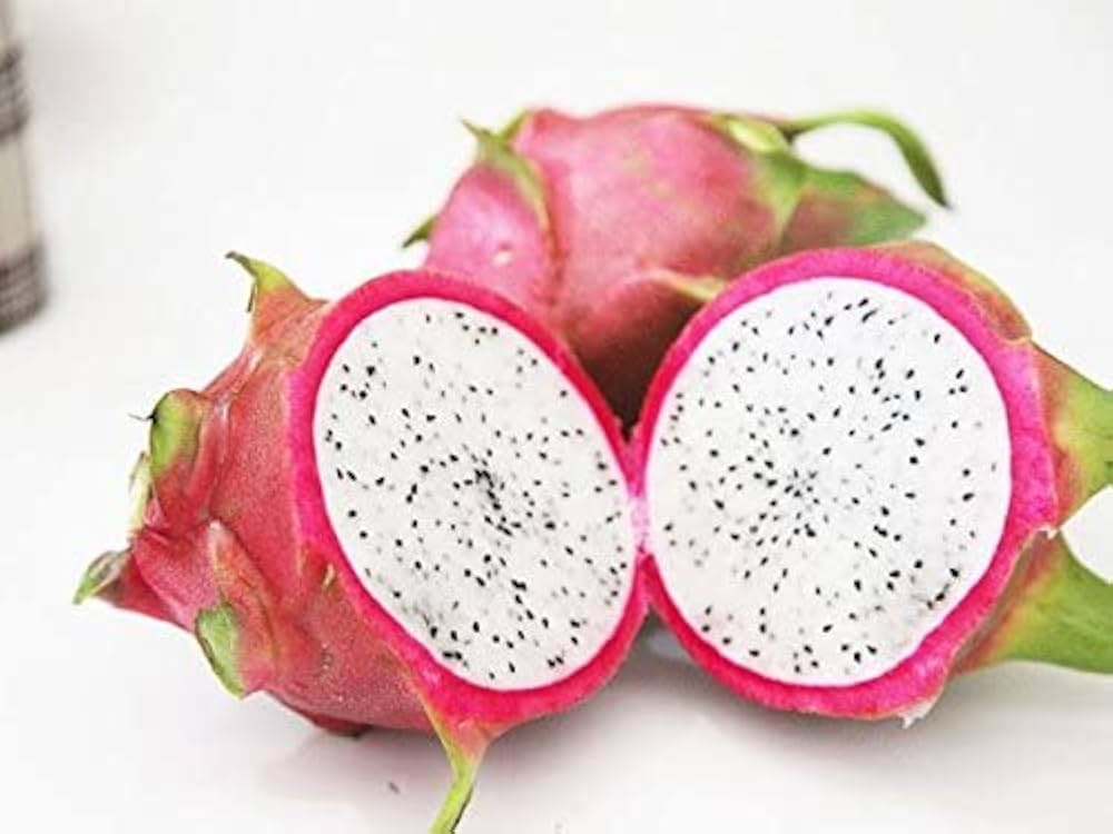 Pitaya dragon fruit seeds for planting mixed colors in home garden