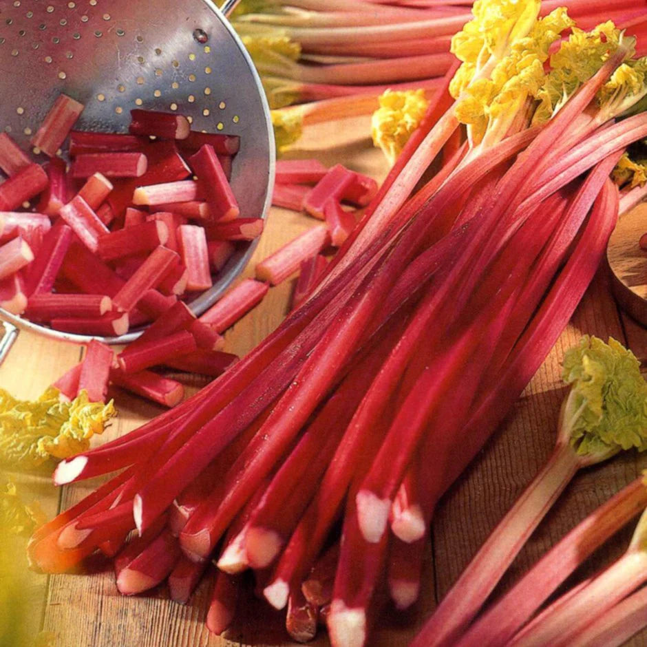 Rhubarb Victoria