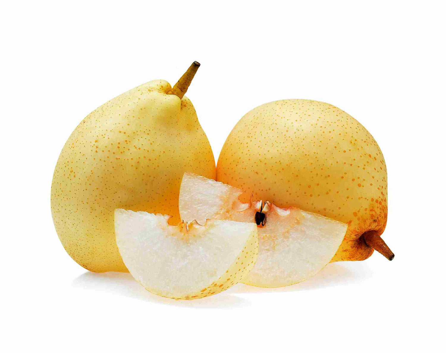 Yali Pear (Pyrus pyrifolia / Common Name: Yali Pear)