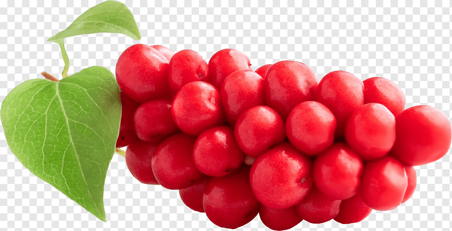 Five Flavor Berry (Schisandra chinensis)