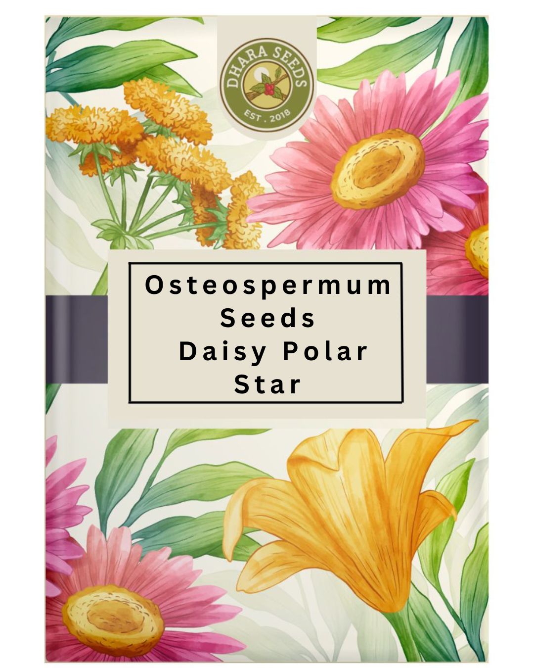 African Daisy Polar Star