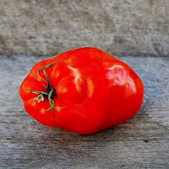 Polierpaste Tomato Solanum lycopersicum vegetable seeds for home garden and vertical gardening - Dharaseeds