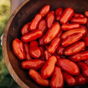 Polierpaste Tomato Solanum lycopersicum vegetable seeds for home garden and vertical gardening - Dharaseeds