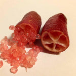 Pomegranate plant seeds for container gardening and terrace garden