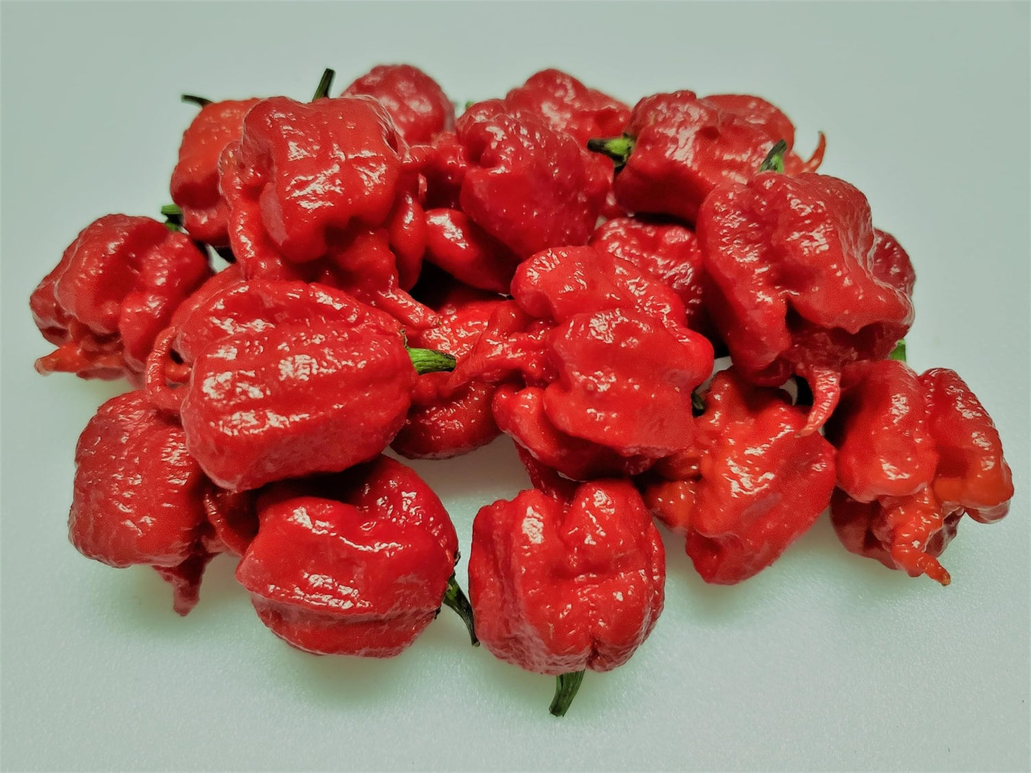 Premium 7 Pot Red Pepper Seeds – Super Hot Organic Chili - Dharaseeds