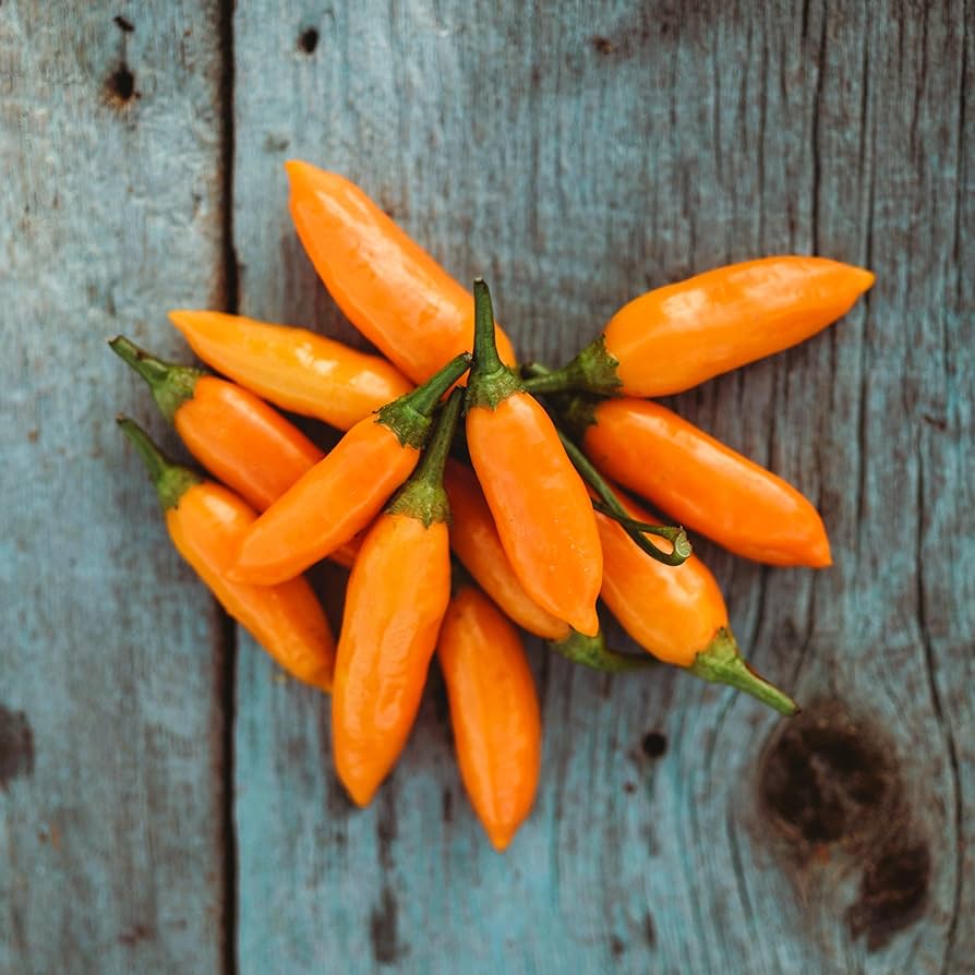 Premium Amarillo planting seeds for gardeners