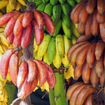 Premium Banana Fruit Seeds for Planting in Home Garden
