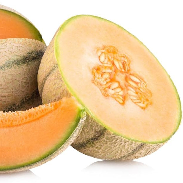 Premium cantaloupe seeds non GMO ideal for garden planting
