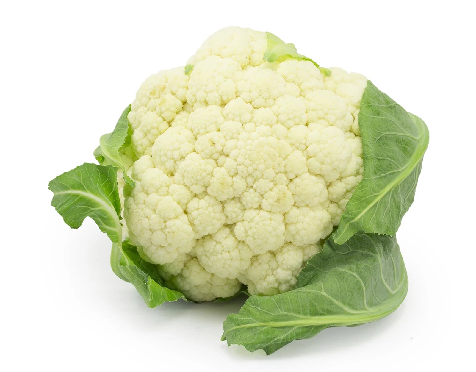 Premium cauliflower seeds for organic growing
