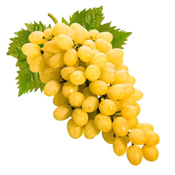 Premium Yellow Grape Fruit Seeds for gardening enthusiasts