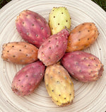 Prickly Pear seeds for desert style and rock gardens