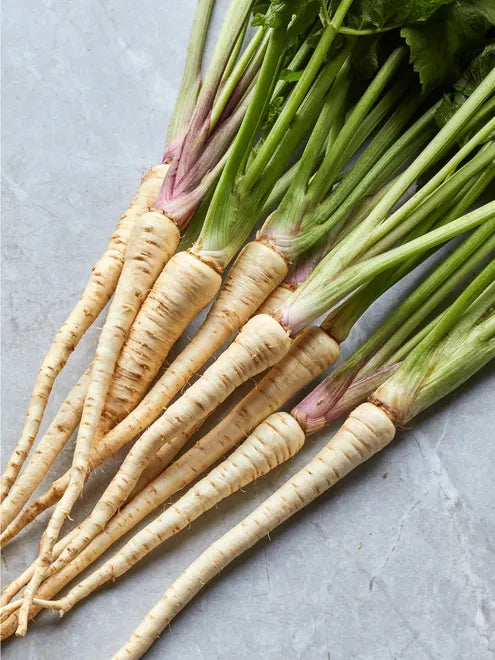 Parsnip Seeds - Hollow Crown