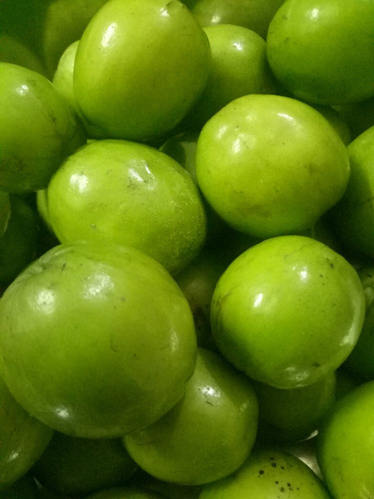 Appleberry Seeds (Billardiera scandens)