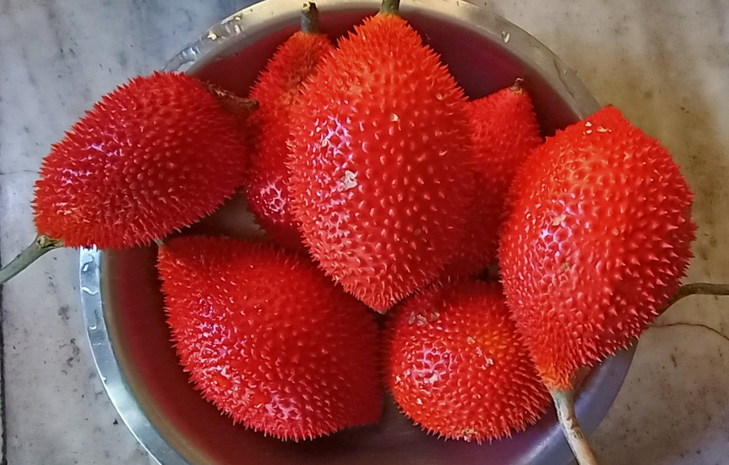 Gac Fruit (Momordica cochinchinensis)