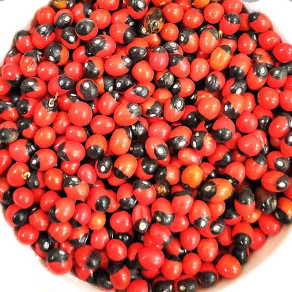 Pea Rosary Plant Seeds for Planting heirloom & Non-GMO Seeds