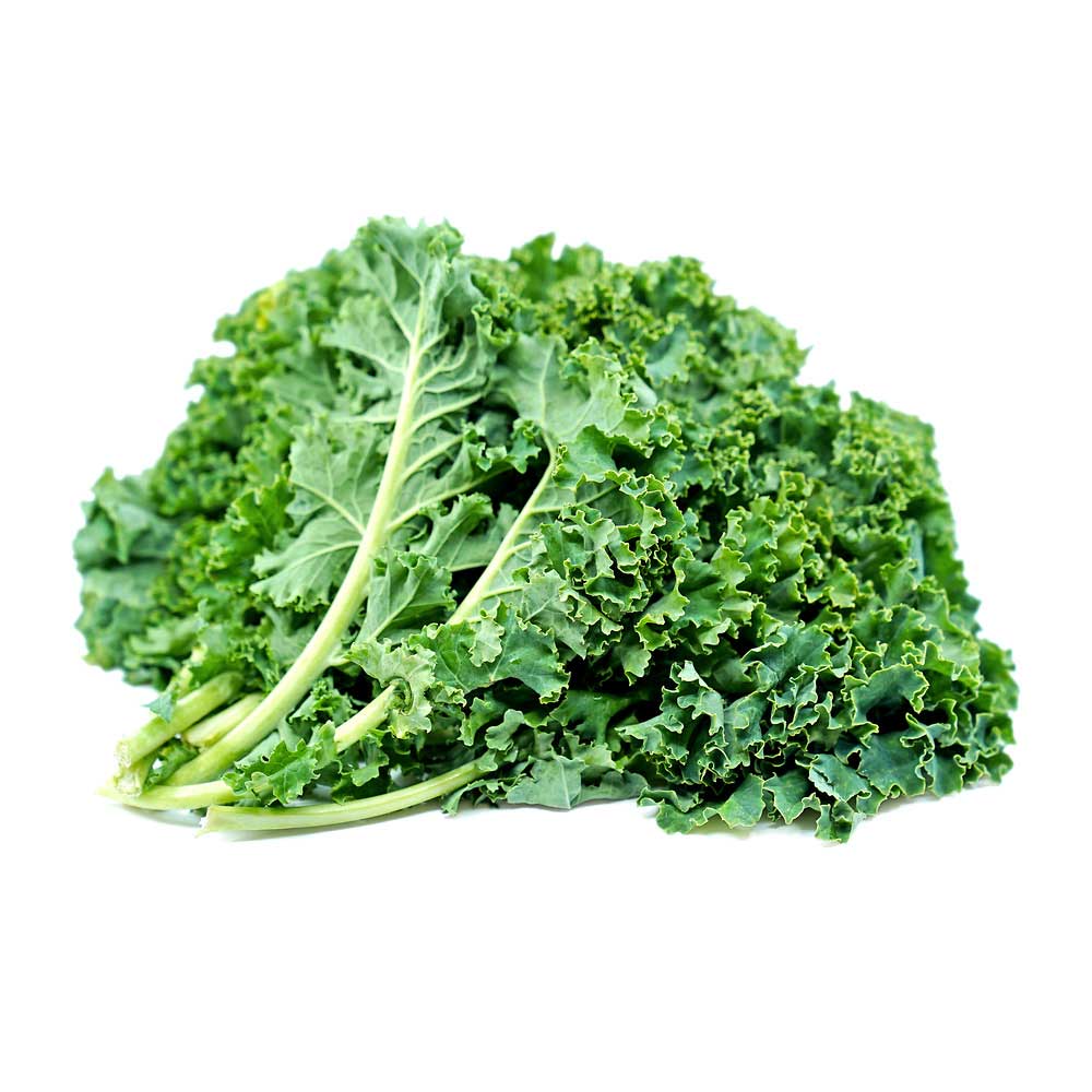 Prizm Kale Seeds Heirloom Non-GMO High Germination Organic Garden Seeds