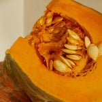 Pumpkin Apple Squash seeds – sweet, aromatic hybrid squash - Dharaseeds