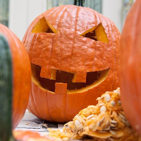 Pumpkin Cucurbita Cucurbita Gold Wire Vegetable Seeds for Planting – Unique Heirloom Variety for Home Garden and Harvest - Dharaseeds