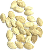 Pumpkin Cucurbita Pepo Tie of Gold Vegetable Seeds for Planting – Unique Variety for Garden Harvest and Autumn Decorations - Dharaseeds