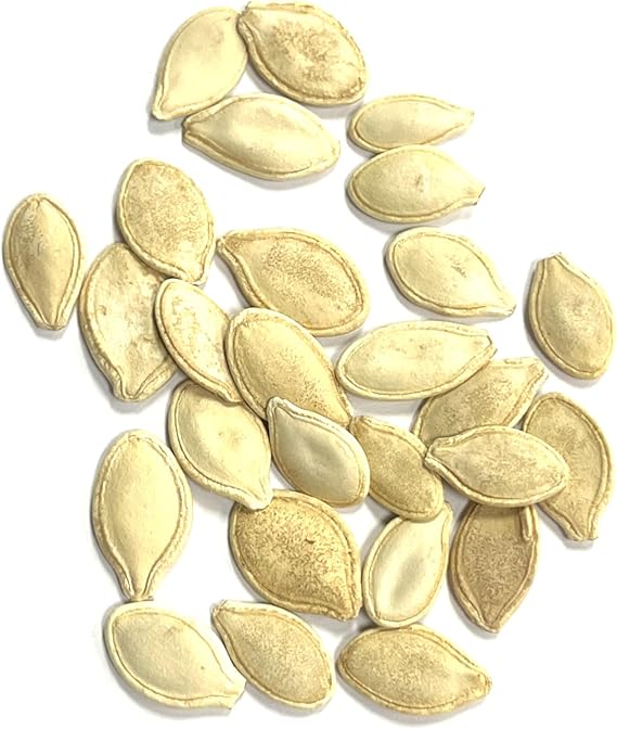 Pumpkin Cucurbita Pepo Tie of Gold Vegetable Seeds for Planting – Unique Variety for Garden Harvest and Autumn Decorations - Dharaseeds