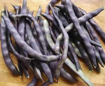 Purple Bean Vegetable Seeds for Planting - 100 Pcs pcs - Dharaseeds