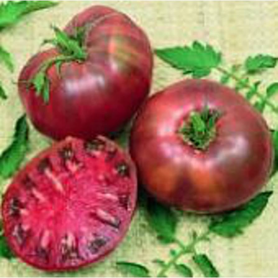 Purple Calabash tomato seeds heirloom ruffled variety with rich flavor - Dharaseeds
