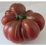 Purple Calabash tomato seeds heirloom ruffled variety with rich flavor - Dharaseeds