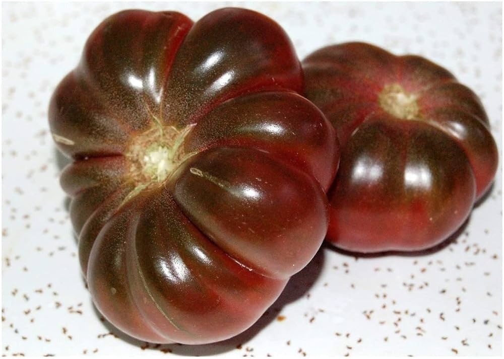 Purple Calabash tomato seeds heirloom ruffled variety with rich flavor - Dharaseeds
