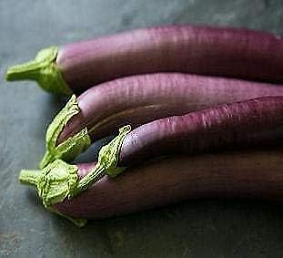 Purple Eggplant Vegetable Seeds for Planting - 100 Pcs pcs - Dharaseeds