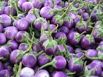 Purple Eggplant Vegetable Seeds for Planting - 100 Pcs pcs - Dharaseeds