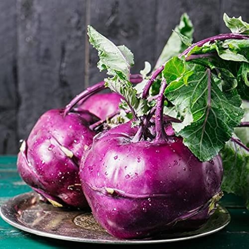 Purple kohlrabi vegetable Brassica oleracea seeds for planting in organic kitchen garden or backyard beds - Dharaseeds