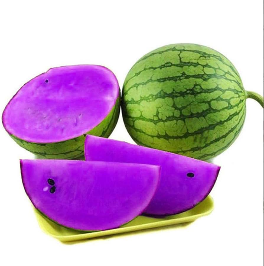 Purple Watermelon Seeds for Planting Citrullus lanatus high quality