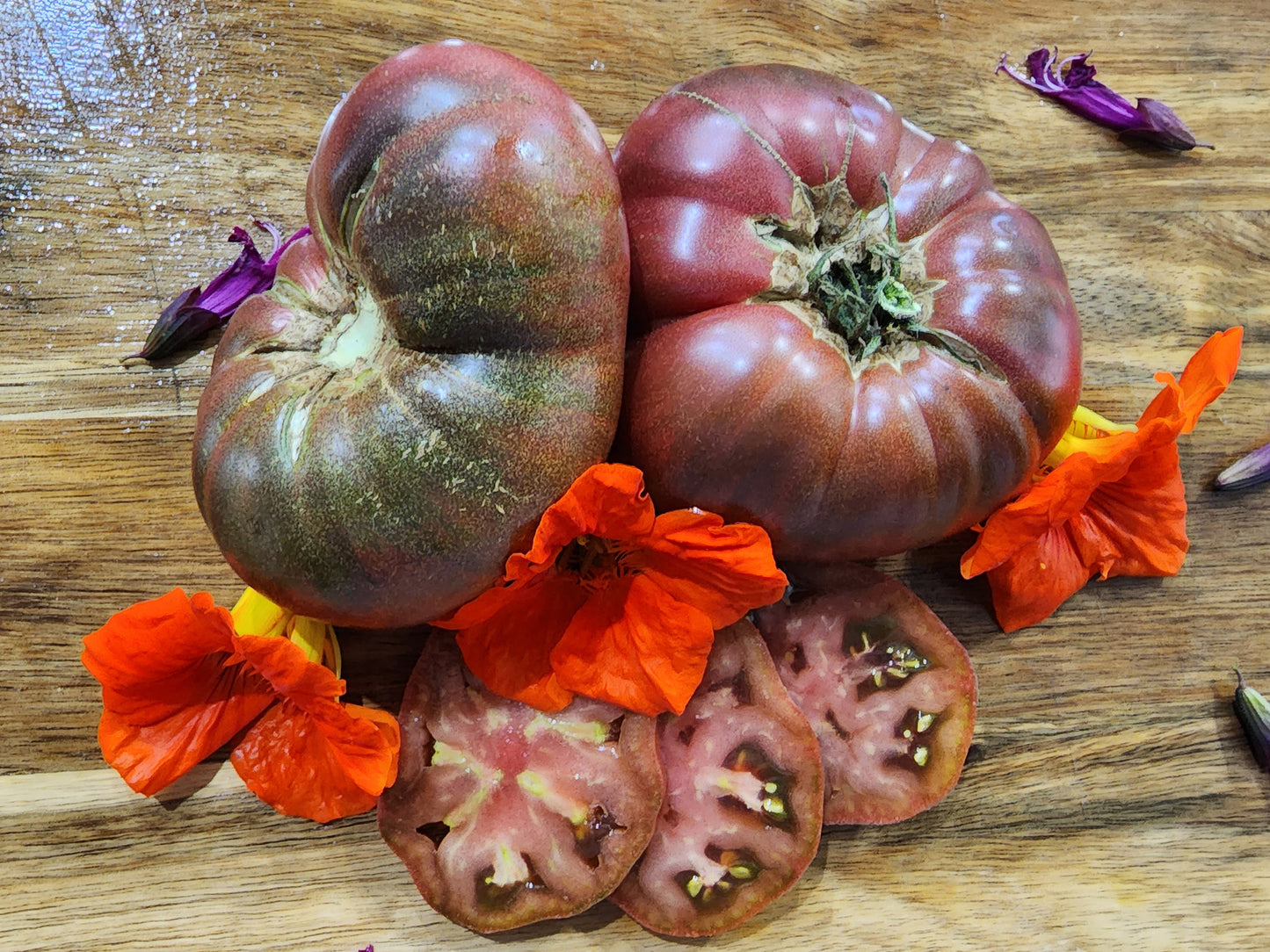 Tomato Purple Beefsteak Solanum lycopersicum vegetable seeds for planting in backyard garden or kitchen garden