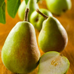 Pyrus communis seeds for growing pear fruit trees