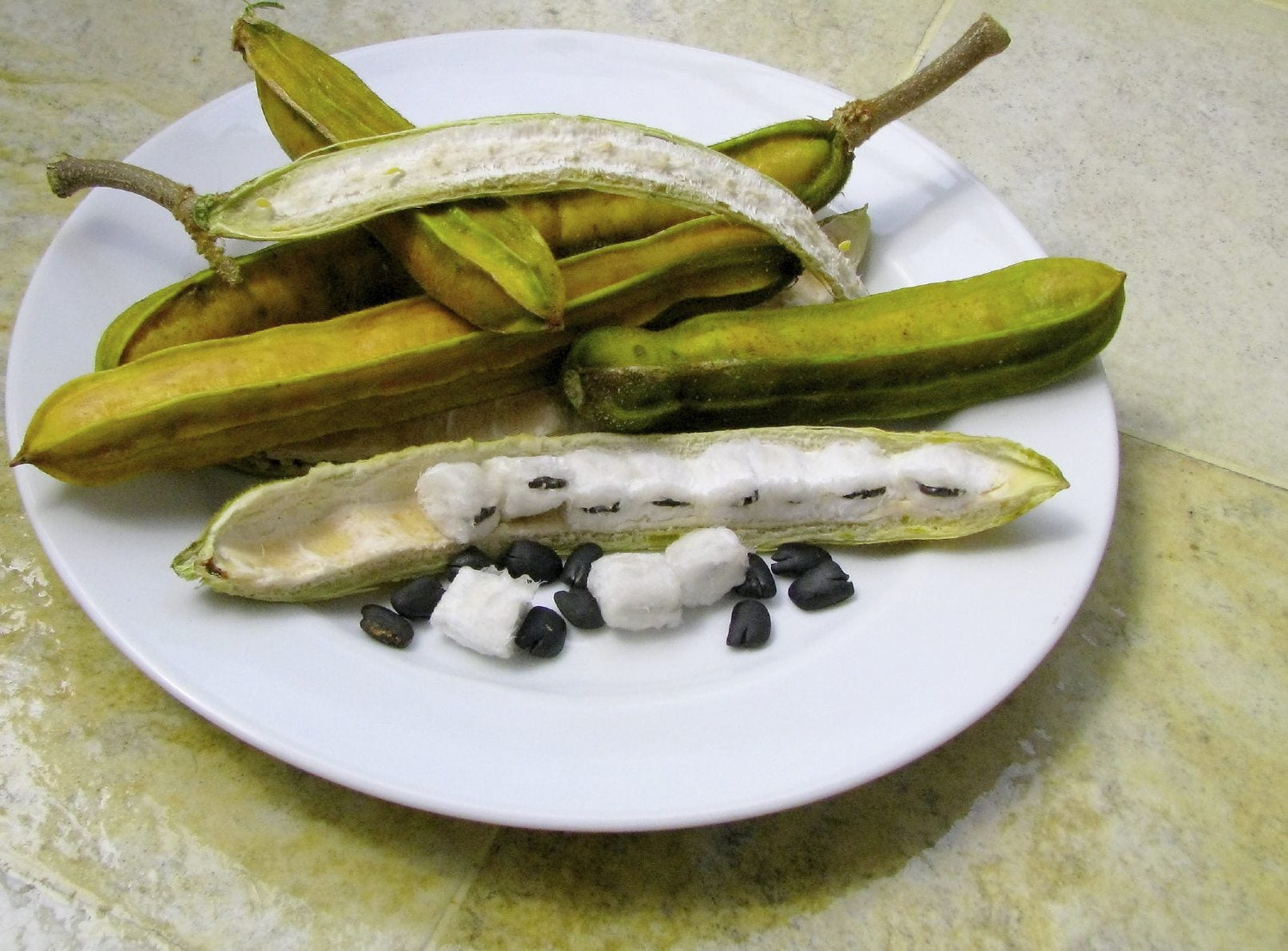 Ice Cream Bean (Inga edulis)