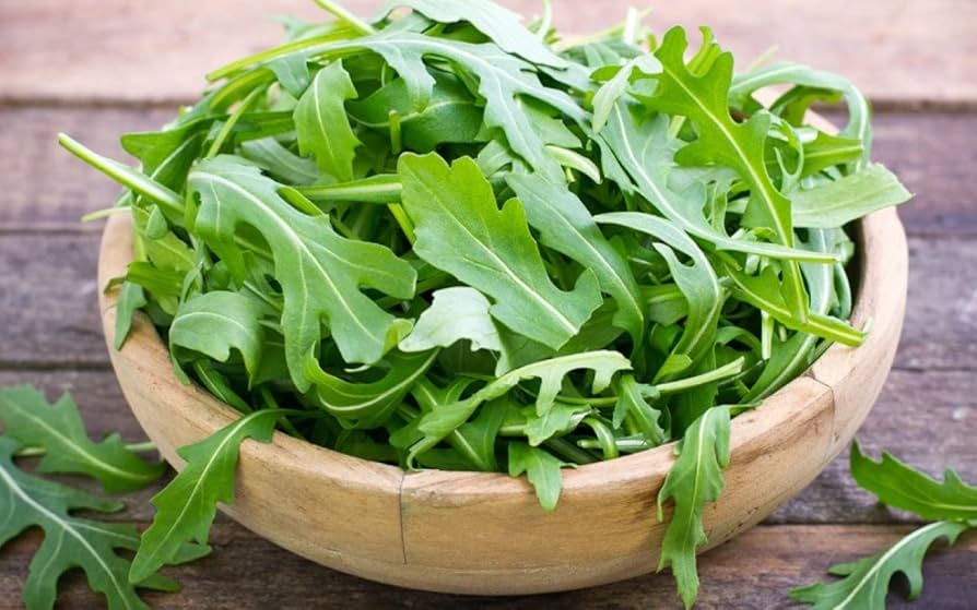 Racco Vegetable Seed Disks – Easy - Grow Mixed Greens for Small Spaces - Dharaseeds