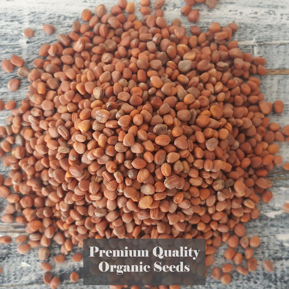 organic-winter-storage-radish-china-rose-seeds

