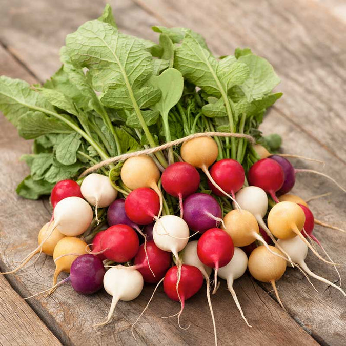 vegetables fresh high quality vegetable seeds for home gardens and farms perfect for growing healthy and nutritious crops organic vegetables premium organic vegetable seeds for sustainable farming and healthy homegrown produce suitable for all climates