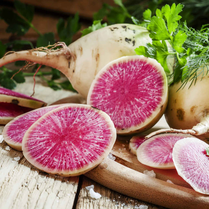 Radish Seeds - Watermelon