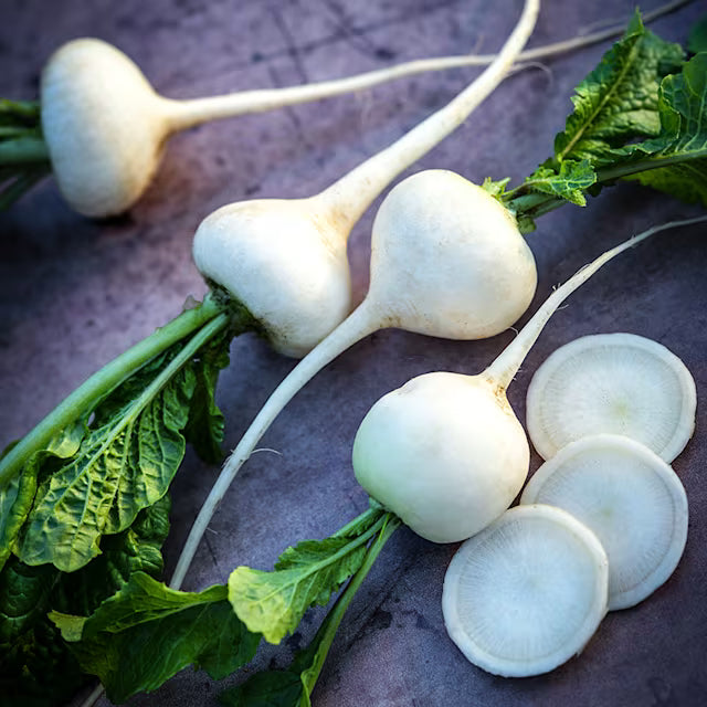 heirloom-nutrient-rich-swiss-chard-for-cooking

