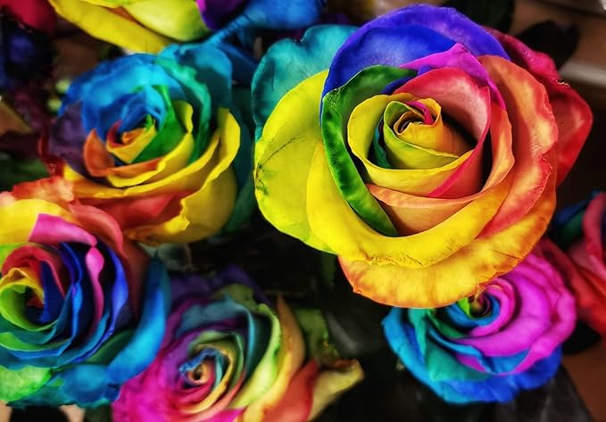 Rainbow Flowers Rare Seeds – Multicolor Blooming Variety for Unique Garden Displays - Dharaseeds