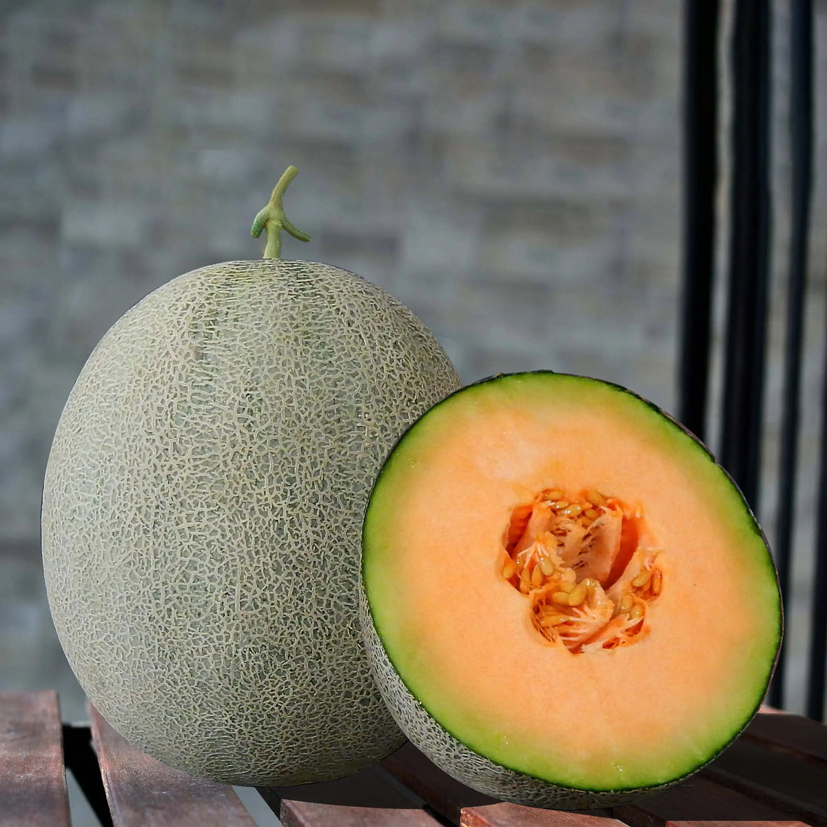 Rannya melon vines with yellow flowers